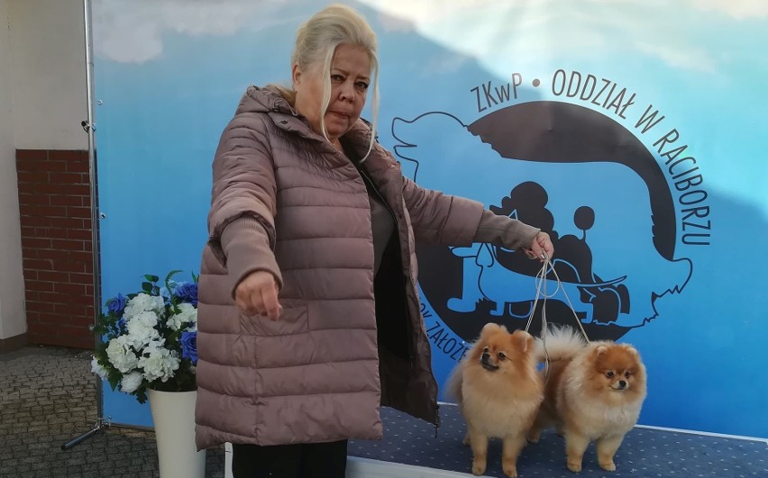 Czworonożne piękności. Krajowa wystawa psów rasowych w Zakrzowie