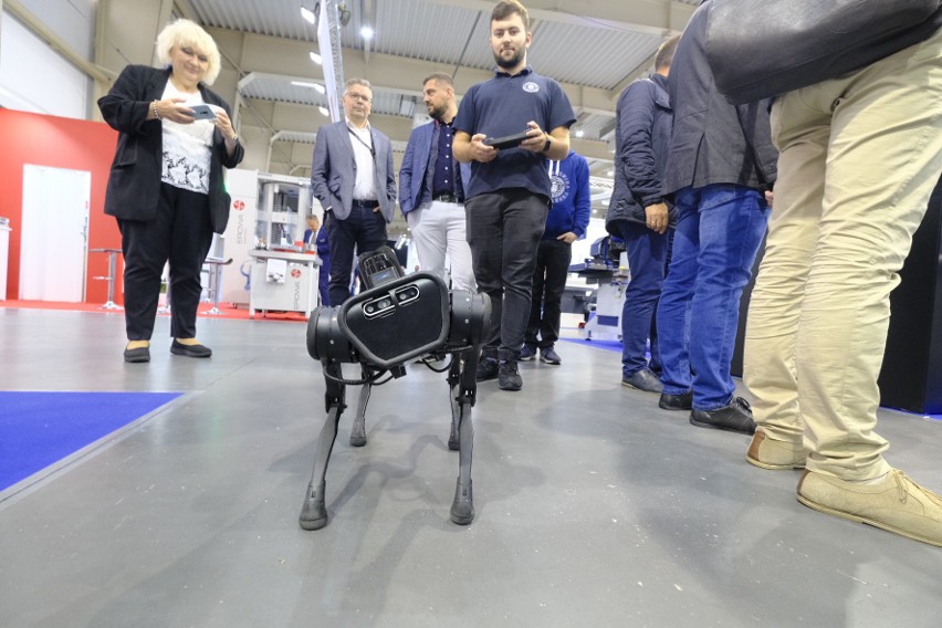 Robot kroczący Politechniki Poznańskiej wykorzystywany jest...