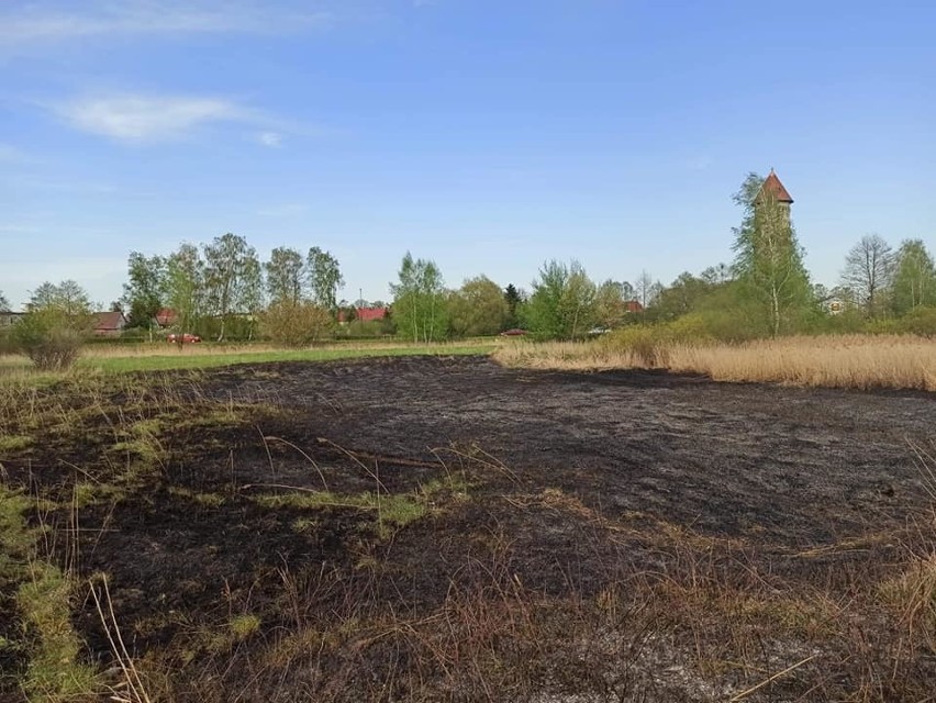 Pożar trzcinowiska w Białogardzie