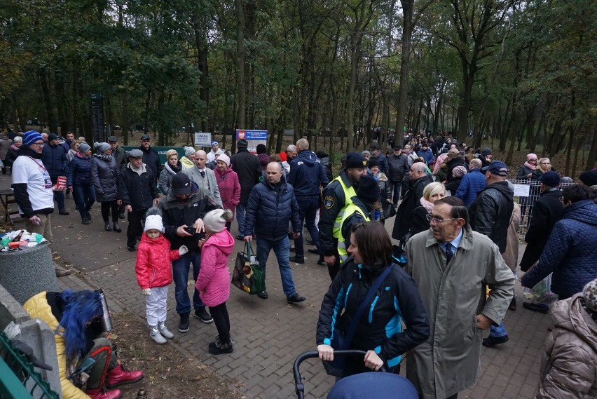 Wszystkich Świętych w Poznaniu: Trwa zbiórka na Rossę - 1...