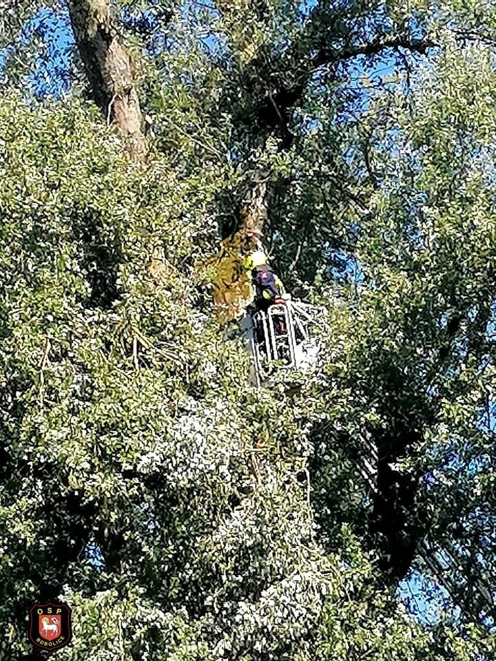 Strażacy z OSP Bobolice usuwają skutki niedzielnej nawanicy