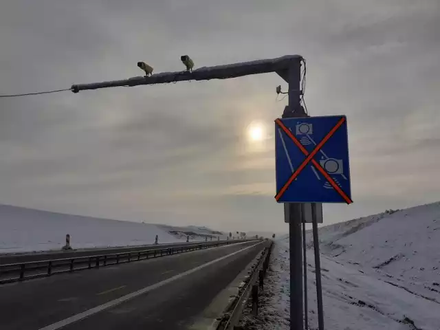 Odcinkowy pomiar prędkości na A1 już działa i łapie kierowców! Tylko pierwszego dnia kiedy go uruchomiono - w środę 20 stycznia - ponad 1300 kierowców przekroczyło dozwoloną prędkość. Pomiar prędkości na A1przez pierwsze tygodnie stycznia był tylko testowany (co widać na zdjęciu) teraz już działa pełną parą.CZYTAJ DALEJ >>>