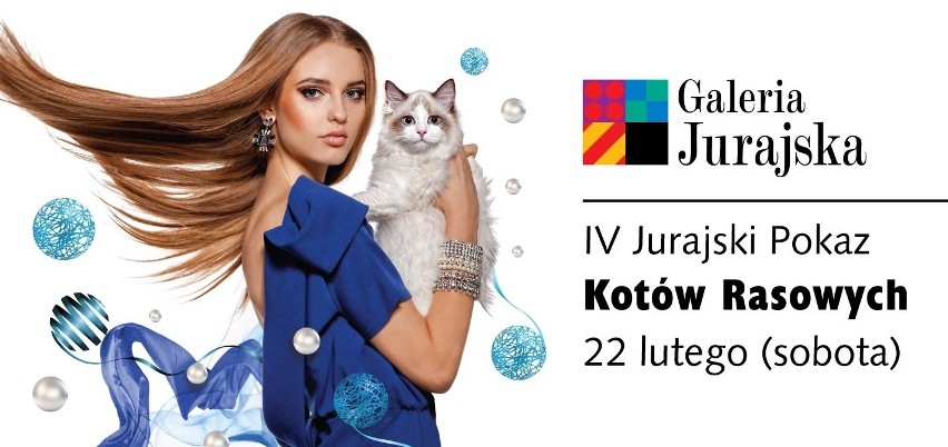 IV Jurajski Pokaz Kotów Rasowych