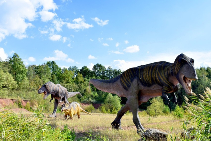 JuraPark Krasiejów obchodzi w tym roku 10-lecie istnienia....