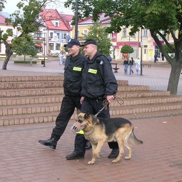 Po wprowadzeniu stałych godzin zamknięcia tarnobrzeskich pubów i restauracji, policyjne patrole mogłyby uważniej obserwować miejsca i ulice, którymi wracają rozbawieni uczestnicy.