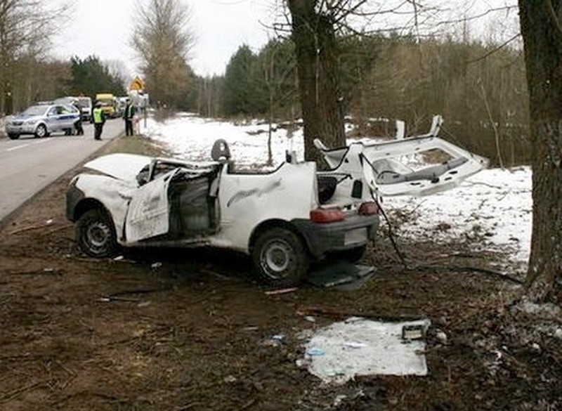 Fiat uderzył w drzewo z ogromną siłą. Strażacy musieli wycinać pasażera zakleszczonego w pojeździe (zdjęcia)