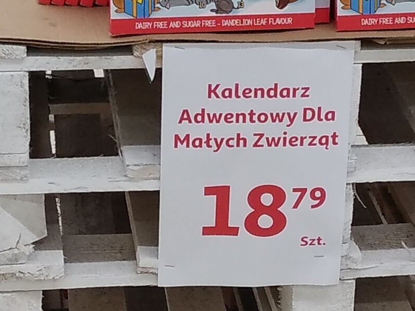 Kalendarze adwentowe dla psów i kotów oraz świąteczne...