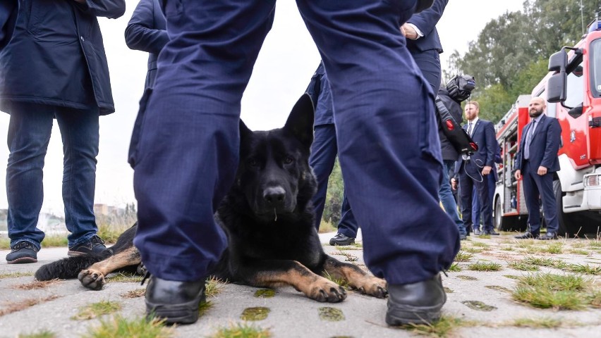 Policjanci zaopatrzeni w kamery osobiste. W Gdańsku jest aż 153 urządzeń nagrywających 