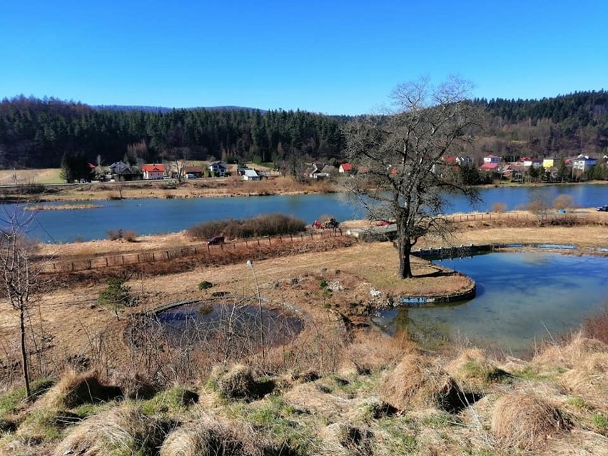 Wzgórze Baszta w Lesku ma szanse stać się atrakcyjnym terenem do rekreacji. W tym miejscu ma powstać platforma widokowa [ZDJĘCIA]