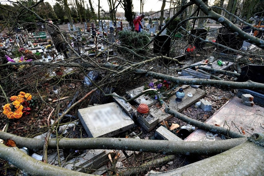 Cmentarz Centralny w Szczecinie po wichurze: połamane i powalone drzewa, uszkodzone pomniki [ZDJĘCIA]