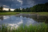 Włodzimierz Tyczyński, fotograf-amator z Radomska wybrał się z aparatem do gminy Kamieńsk. ZDJĘCIA