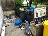 Kryzys śmieciowy we Wrocławiu, ogromne podwyżki za wywóz odpadów. Radni: Duży błąd w zarządzaniu miastem!