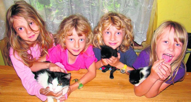Siostry: Klaudia (11 lat), bliźniaczki Weronika i Monika (9 lat) oraz Karolinka (8 lat) czekają niecierpliwie na nowy dom