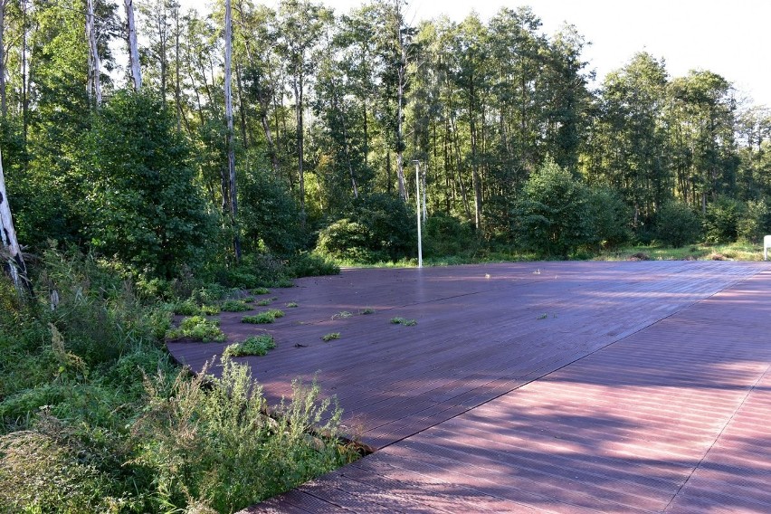 Promenada w Trzebieży. Brakuje ławek, śmietników i leżaków. Dlaczego?