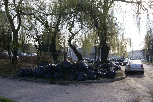Worki z liśćmi zalegają przy ulicy Tatarakowej