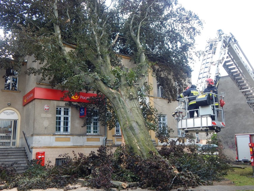 Nawałnica w Gubinie powaliła drzewo, które spadło na budynek poczty (zdjęcia)