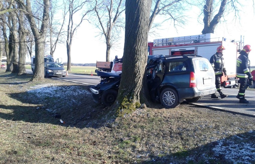 Auto uderzyło w drzewo