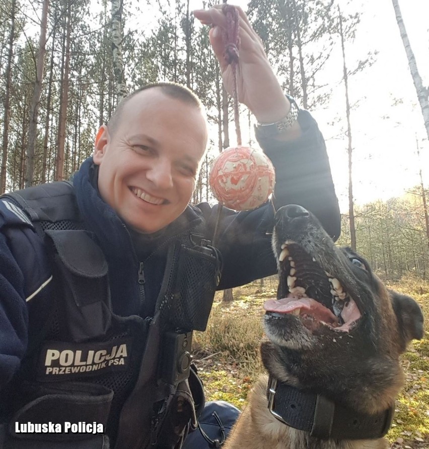 Lara - policyjny pies do zadań specjalnych.