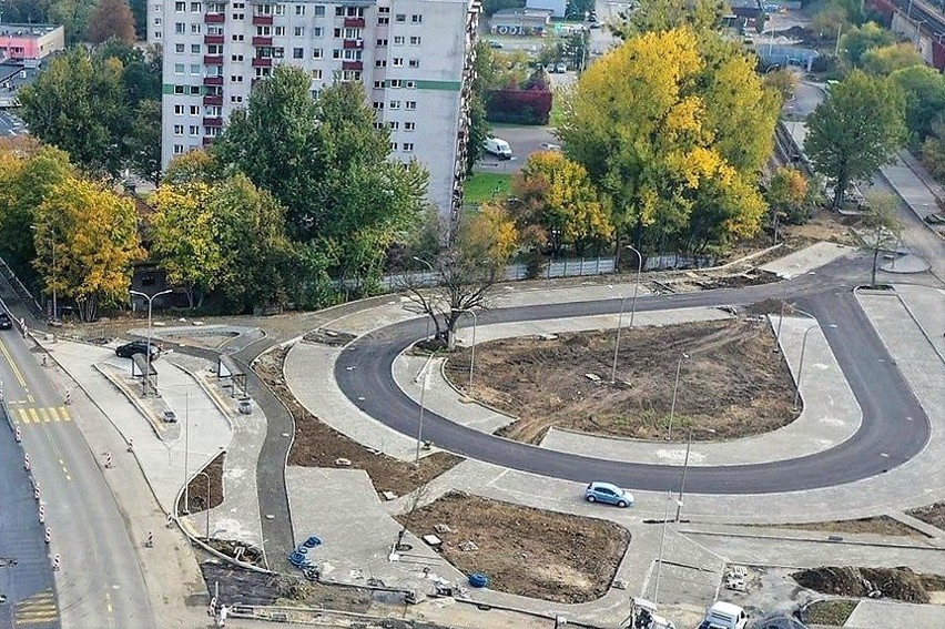 Drzewo na parkingu przy Opolu Zachodnim - stan na drugą...