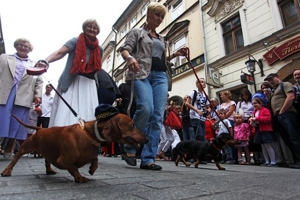 Marsz Jamników 2012 (zdjęcia archiwalne)