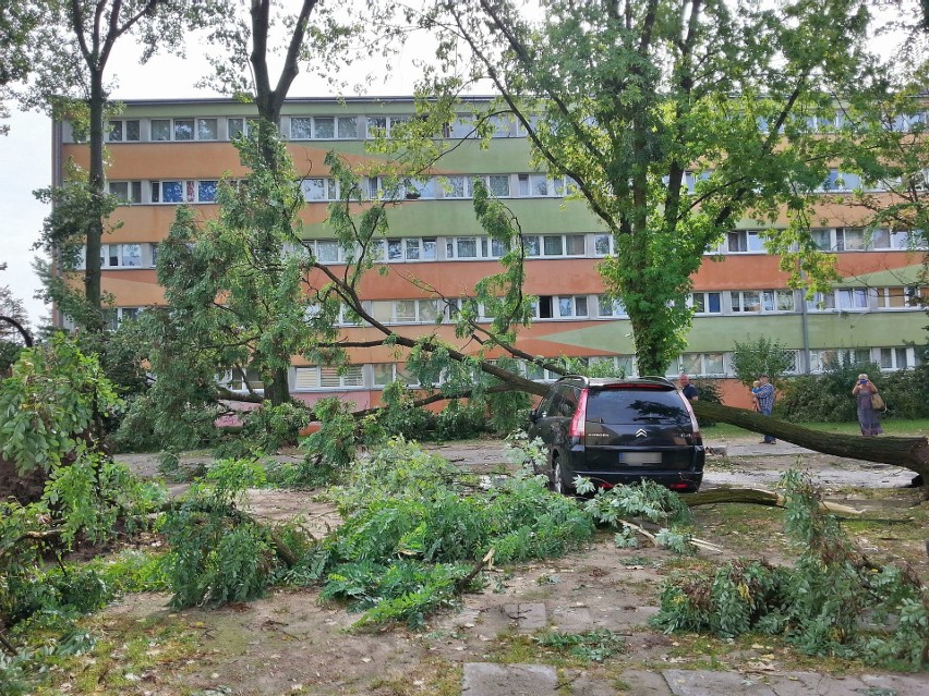 Burza w Łodzi. Nawałnica nad Łodzią. Powalone drzewa, gałęzie na drogach, zalane ulice [ZDJĘCIA]