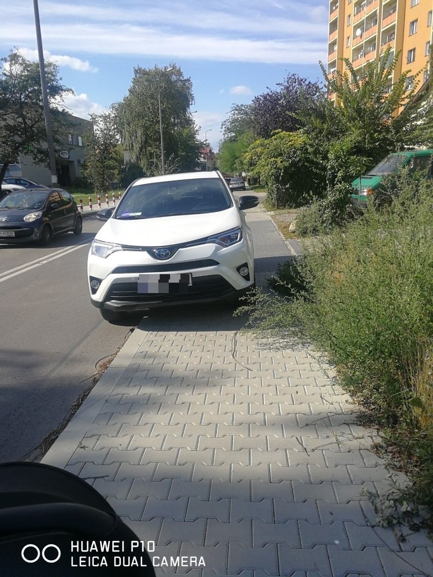 Poprosiliśmy internautów o zdjęcia radomskich Mistrzów...