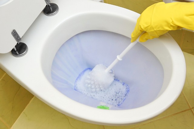 Szczotka do czyszczenia WC to akcesorium, które znajduje się w każdym domu. Sprawdź, jak ją ekologicznie wyczyścić bez szkodliwej chemii.