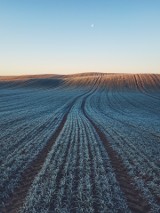 Zmiany klimatu bezlitosne dla rolnictwa. Receptą ubezpieczenia? 