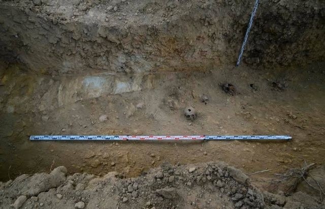 Wrocławscy archeolodzy odkryli zbiorową mogiłę w Kamiennej Górze (ZDJĘCIA)
