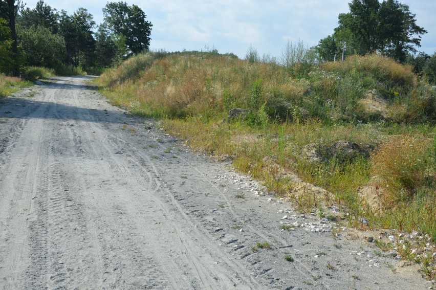 Dąbrowa Tarnowska. Podpisano umowę na dokończenie budowy obwodnicy