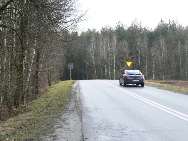 Rosnące po lewej stronie drzewa ograniczają widoczność kierowcom wjeżdżającym na krajową "9".