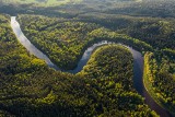 Część lasów deszczowych Amazonii znajduje się w punkcie krytycznym, ale nie jest to droga bez powrotu. To ostatnia szansa na ratunek?