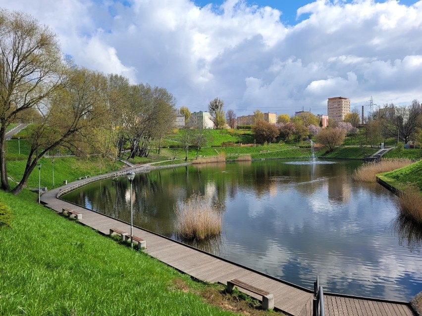 Tak wyglądają zdjęcia laureatów konkursu fotograficznego o Szczecinie. ZDJĘCIA