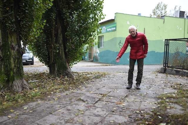 Topole rozsadzają kafle chodnikowe. W tym miejscu konieczny jest remont - uważa Jan Szabunio