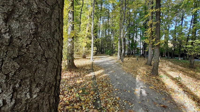 Park w Wilkowicach nie jest typowym parkiem miejskim,...