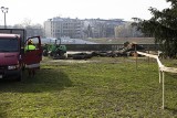 Kraków. Kolejna wycinka drzew, która wzbudzi kontrowersje. Tym razem na bulwarach Wisły, pod kładkę Kazmierz-Ludwinów