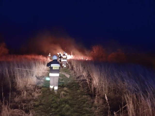 W poniedziałek 16 marca strażacy z jednostki w Wierzbicy gasili pożar traw na terenie ogródków działkowych.