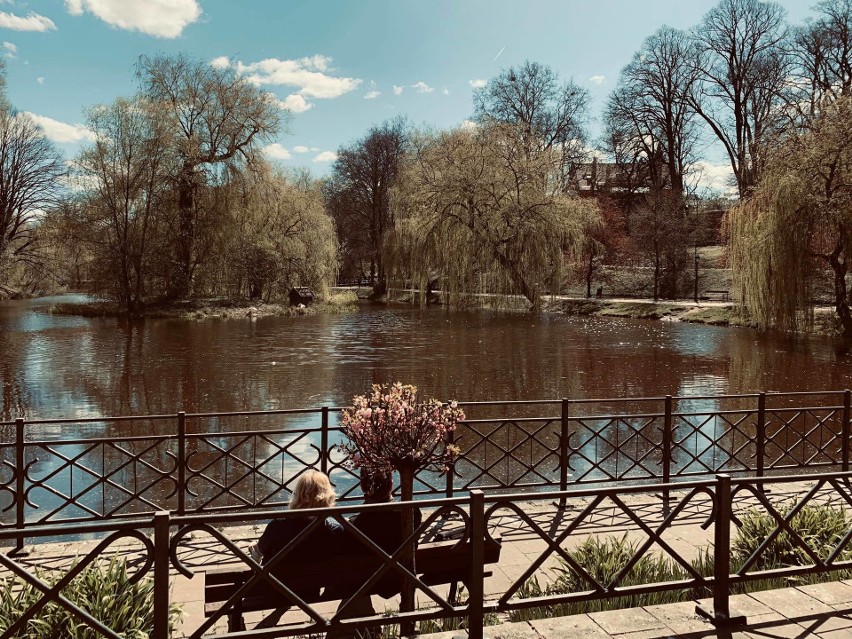 Piękny park w Koszalinie w czasie koronawirusa na zdjęciach Internautki