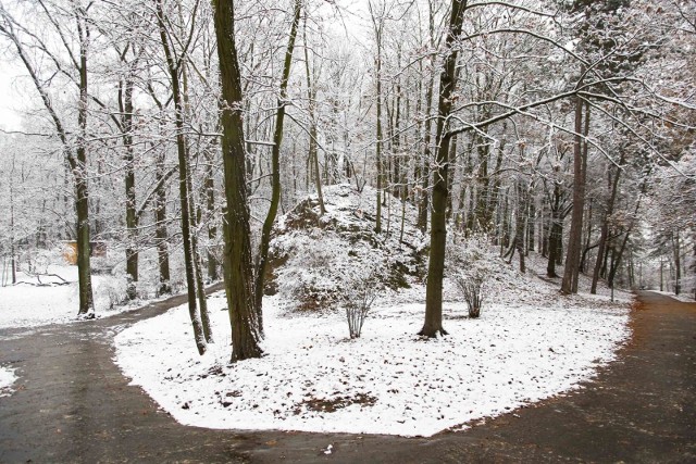 Park Bednarskiego i okolice w zimowej odsłonie