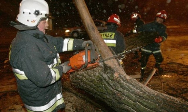 Połamane przez wiatr drzewa tarasowały drogi na Śląsku Cieszyńskim i Żywiecczyźnie