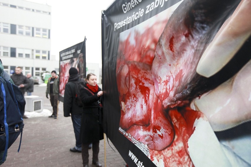 W Polsce aborcja jest nielegalna. Polki jedna znalazły...