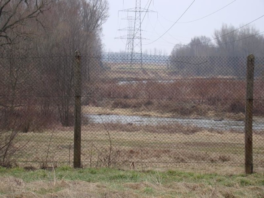 Nowa obwodnica ma przecinać m.in. drogę Rajsko - Oświęcim