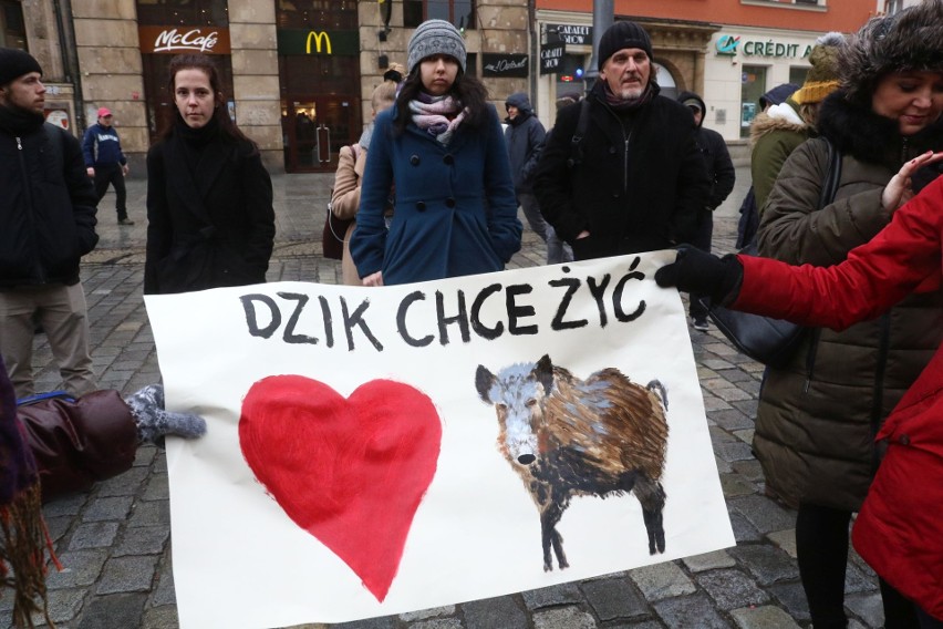 "Sto lat, niech ryją, ryją nam!" We Wrocławiu odbył się protest w obronie dzików (FILM, ZDJĘCIA)