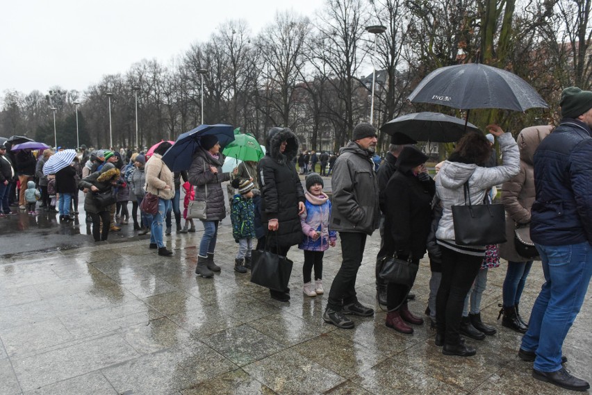 W sobotę przed Palmiarnią Poznańską ustawiła się długa...