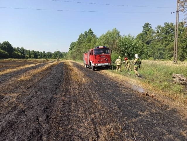 Chełmińscy strażacy walczą z ogniem. Dziś (4.08.2022) m.in....