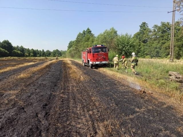 Chełmińscy strażacy walczą z ogniem. Dziś (4.08.2022) m.in. ugasili pożar na polu w Klamrach