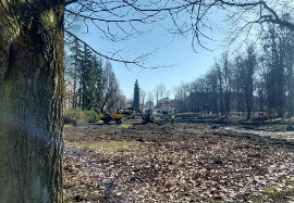 Rewitalizacja Parku Planty i protest przeciwko wycince 95-letnich tui