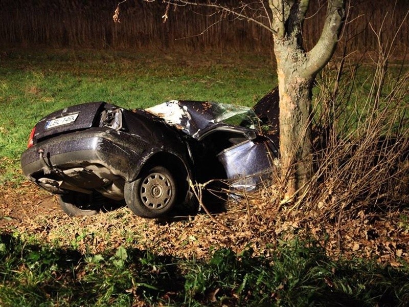 Volkswagen uderzył w drzewo. Kierowca ciężko ranny [ZDJĘCIA]
