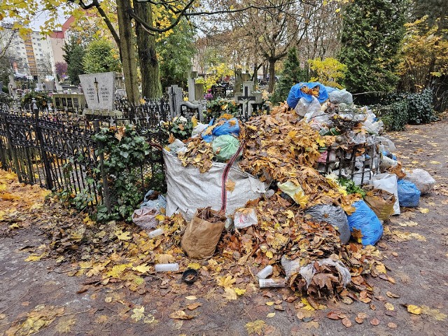 Sterty odpadów szpecą cmentarz św. Jerzego w Toruniu.