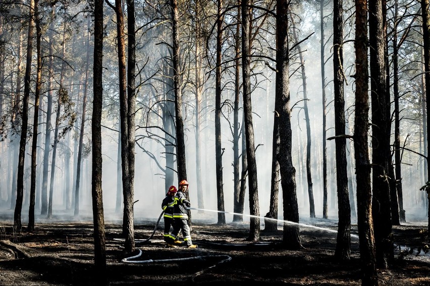 Przerażające zmiany klimatu w Polsce. Upały będą nie do...